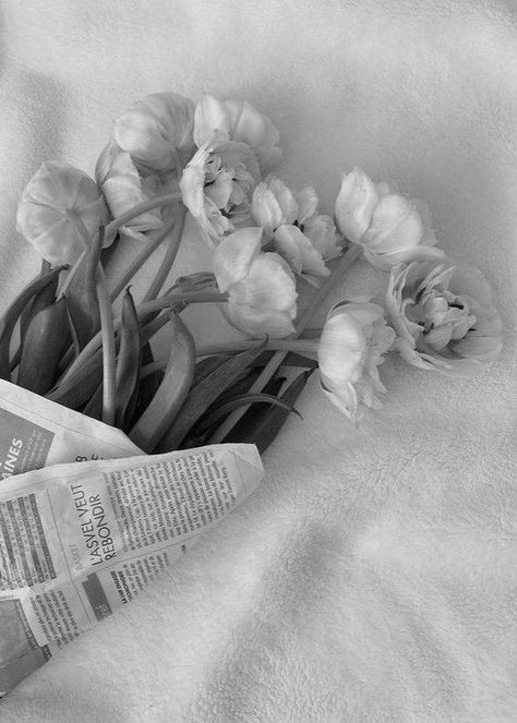 White Pointe Shoes, Pointe Shoes, Newspaper, White Flowers, Flowers, White