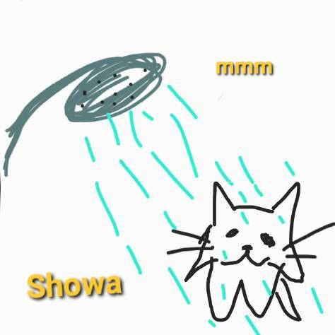 Cat meme Poorly Drawn Memes, Poorly Drawn Animals, Badly Drawn Cats, Drawn Cats, Im Silly, Poorly Drawn Cats, Shower Memes, Images Emoji, Goofy Drawing