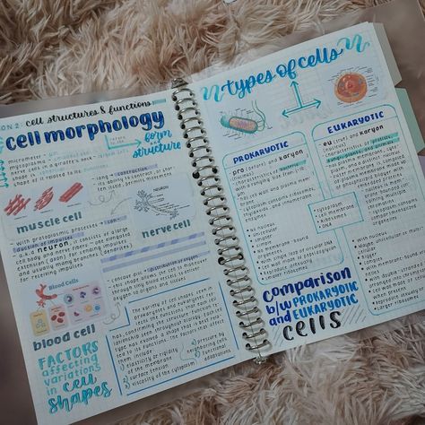 Nerve Cell Notes, Notes Making Ideas Biology, Cytoskeleton Notes, Health Notes Aesthetic, Cell Structure Notes, Cell Structure And Function Notes, Cna Notes, Alevel Biology, Notes Idea