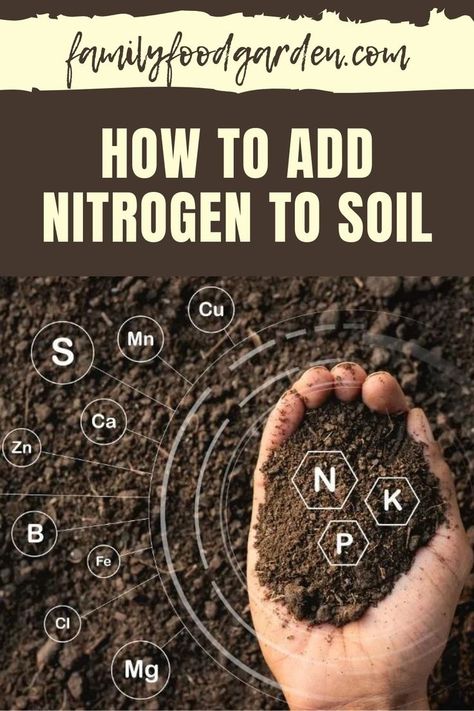 Nitrogen For Plants, Planting Beans, Manure Tea, Beans And Legumes, Natural Plant Fertilizer, Garden Companion Planting, Shade Garden Plants, Compost Tea, Natural Fertilizer