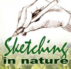 Nature Sketch, Watercolor Journal, Nature Hikes, Lake Landscape, Nature Study, Nature Journal, Art Techniques, Journal Pages, Painting Techniques