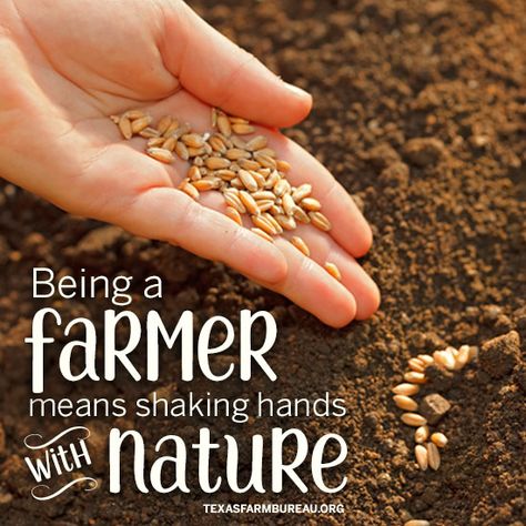 Agriculture Education Lessons, Agriculture Quotes, Agriculture Photography, Farm Quotes, Culture Quotes, Tips For Happy Life, Food Captions, Good For The Soul, Agriculture Education