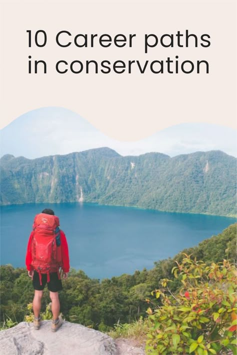 Are you thinking about a career in conservation or working with wildlife, but you are not sure where to start? Then this guide is for you. Read on to find out more about different conservation and wildlife jobs, and how to find out which one is right for you. Wildlife Conservationist Aesthetic, Wildlife Rehabilitation Career, Alyse Core, Wildlife Conservation Aesthetic, Wildlife Technician, Environmental Jobs, Conservation Officer, Biology Jobs, Conservation Photography