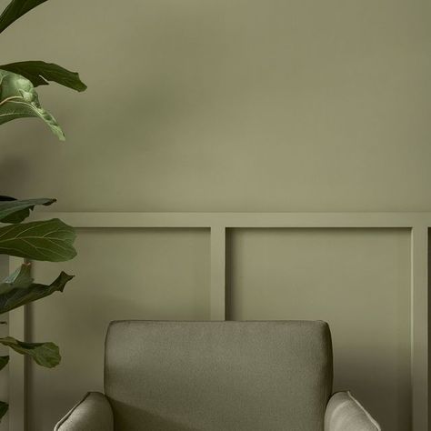 Graham & Brown on Instagram: "An elegant muted green colour, our Colour of the Year 2024 has been conscientiously curated. Viridis is a complex yet flexible hue, adding depth to a space and blurring the lines between the outside and inside, it is a natural and uplifting shade, providing an inventive alternative to the greige interior schemes. It is especially perfect for the entertaining and entrance areas. 💚 #sagegreen #greenpaint #colouroftheyear2024" Mushroom Coloured Walls, Green Biege Colour Palette, Sage Green Paint Colours Uk, Dulux Graceful Green, Dulux Heritage Grass Green, Green Painted Walls, Graham & Brown, Boot Room, Green Paint