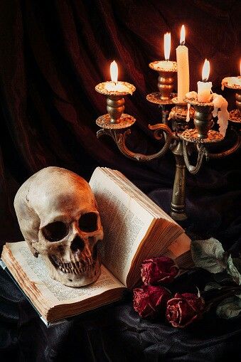 Memento Mori Art, Dark Spells, Bad Energy, Dark Magic, Still Life Photos, Human Skull, Still Life Art, High Art, Skull And Bones