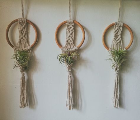 Macrame Airplant Holder, Airplants Display Ideas, Macrame Air Plant Hanger Diy, Air Plant Macrame, Air Plants Ideas, Easy Diy Macrame, Art Ideas For Teens, Air Plant Hanger, Macrame Plant Hanger Patterns