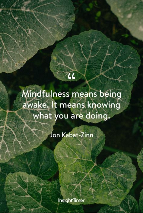 Insight Timer, Jon Kabat Zinn, Meditation Apps, Thought Provoking Quotes, Good Morning Inspirational Quotes, 2025 Vision, Morning Inspirational Quotes, Mindfulness Meditation, Mindfulness Quotes