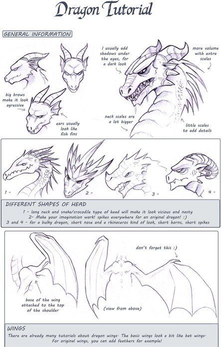 Chinese Dragon Reference, Draw A Dragon, Dragon Anatomy, Dragon Base, Dragon Sketch, Dragon Artwork, Dragon Drawing, Lilo Stitch, Character Design Animation