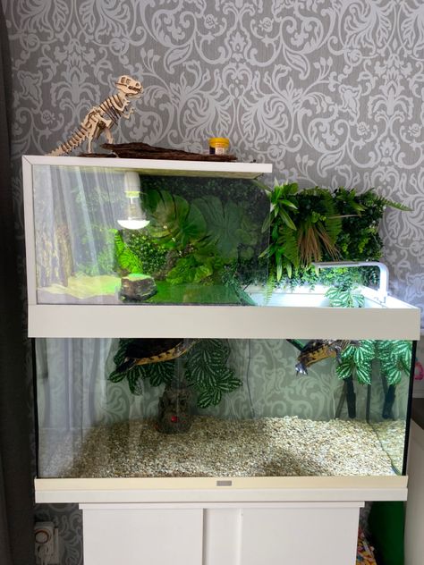 Turtle Setup Ideas, Pet Turtle Tank, Turtle Aquarium Ideas, Aquatic Turtle Tank Ideas, Small Turtle Tank, Turtle Tank Setup Ideas, Turtle Setup, Turtle Basking Area, Turtle Tank Ideas