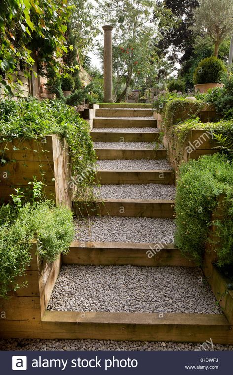 Download this stock image: Gravel and wooden path leading up steps to garden on higher level,English Garden,England - KHDWFJ from Alamy's library of millions of high resolution stock photos, illustrations and vectors. Sloped Backyard Landscaping, Landscape Stairs, Wooden Path, Sloped Backyard, Stone Steps, Garden Stairs, Tiered Garden, Sloped Garden, Garden Steps