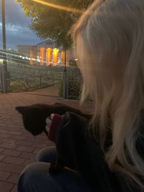 A Cat, At Night, Black Cat, A Woman, Blonde, Black