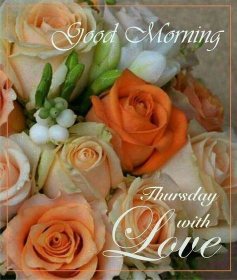 Twitter Ideas, Happy Thursday Morning, Love Good Morning, Thursday Greetings, Good Night I Love You, Happy Thursday Quotes, Happy Day Quotes, Good Morning Thursday, Quotes Good Morning