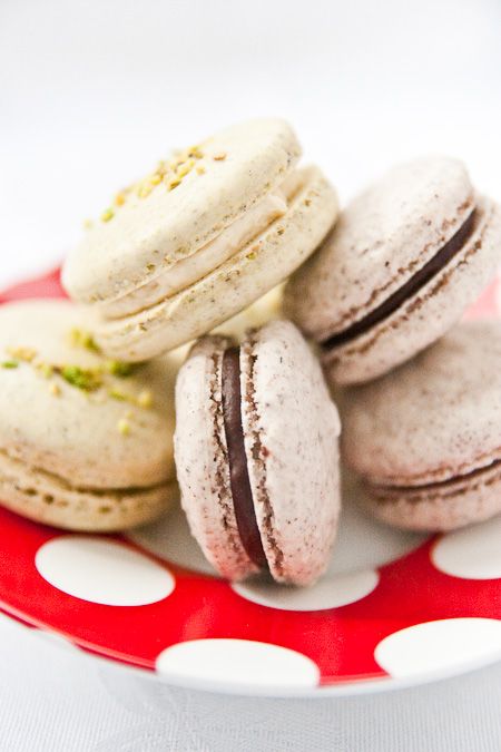 Macaron Recipe Without Almond Flour, Honey Macarons, French Macarons Flavors, Almond Macarons, Soy Free Desserts, Hazelnut Recipes, Macaron Recipes, Chocolate Macaron, Macaron Flavors