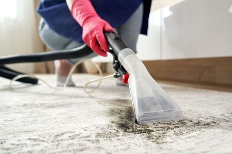 How to Use a Carpet Cleaner for Good-as-New Floor Coverings Carpet Smell, Mold Spores, Dry Carpet Cleaning, Carpet Cleaner Homemade, Domestic Cleaning, Diy Carpet Cleaner, Housekeeping Tips, Carpet Cleaning Solution, Professional Carpet Cleaning