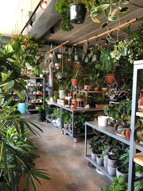 Small Plant Shop Interior, Plant Store Ideas Outdoor, Aesthetic Plant Shop, Garden Shop Ideas, Plant Store Ideas Vintage, Open A Plant Shop, Plant Shop Exterior, Herbal Shop Aesthetic, Plant Shop Ideas