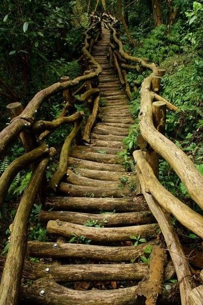 Have Inspiration, Stairway To Heaven, Alam Yang Indah, Nature Aesthetic, Magical Places, In The Woods, Beautiful World, Secret Garden, Beautiful Nature