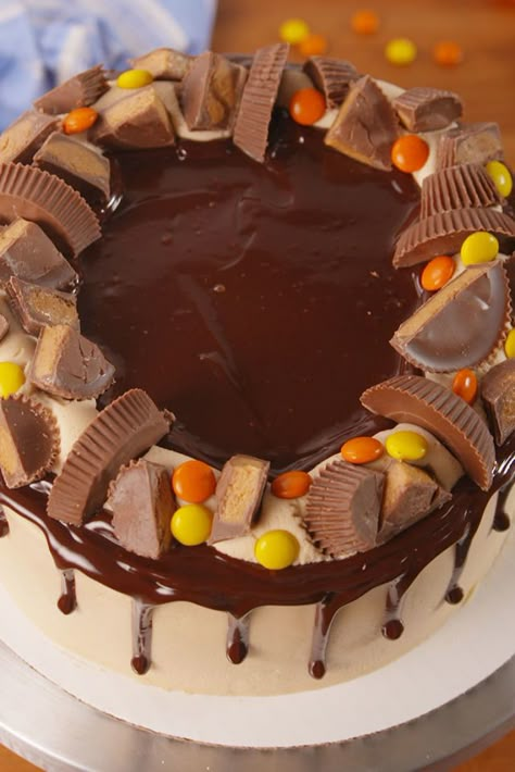 Reese's Peanut Butter Cup Cake Reeses Cake, Explosion Cake, Cake Cooking, Thanksgiving Cakes, Peanut Butter Cake, Thanksgiving Food Desserts, Candy Cakes, Birthday Desserts, Cooking Spray