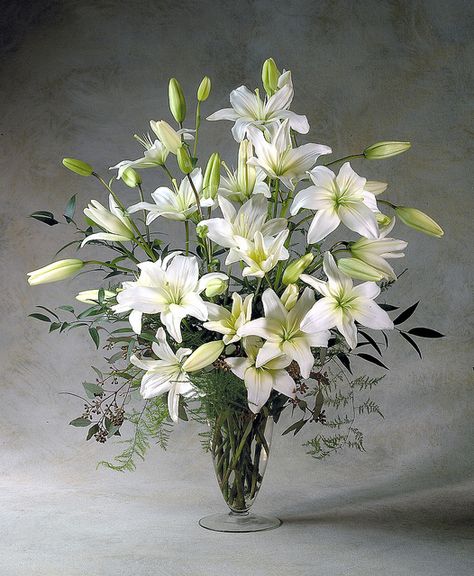 Vase os white lily's. Great for foyer, living room, formal, or sympathy. Flower Factor Lilly Flower Arrangements, Lilies Arrangement, Alter Flowers, Easter Floral Arrangement, Altar Arrangement, Altar Flowers, Lilly Flower, Church Flower Arrangements, Asiatic Lilies