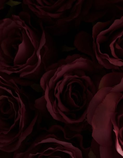 Spilled Red Wine Aesthetic Dark, Dark Red Roses Aesthetic, Wine Red Aesthetic, Red Roses Aesthetic, Aesthetic Lana Del Rey, Maroon Aesthetic, Prettiest Colors, Burgundy Aesthetic, Fall Icons