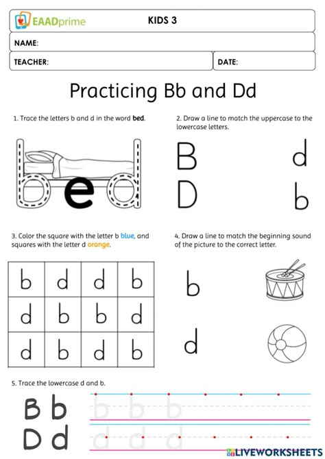 B Or D, B D Worksheets, A B C D Worksheet, D And B Worksheets, B Or D Worksheet, B D Confusion Activities, B D Confusion, B Vs D Worksheet, B And D Activities