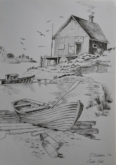 Cod Sketch, A Drawing, Pencil Drawing, Cape Cod, Cape, The Beach, Sketch, Pencil, Drawings