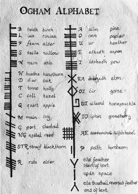 Ogham Alphabet Ogham Words, Creating Sigils, Ogham Runes, Tattoo Irish, Ogham Tattoo, Irish Ogham, Tree Ogham, Tree Names, Celtic Symbols And Meanings