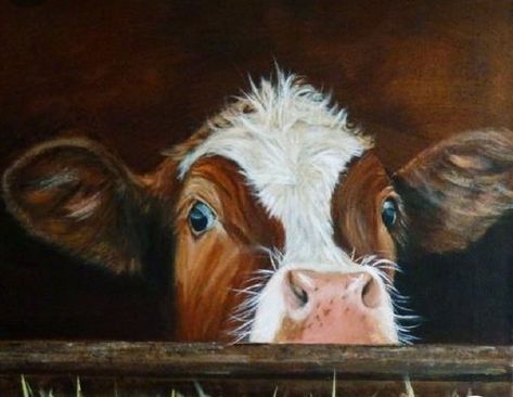 Cow Paintings On Canvas, Farm Animal Paintings, Cow Pictures, Farm Art, Cow Painting, Cow Art, Diy Canvas Art Painting, Sketch Painting, Arte Animal