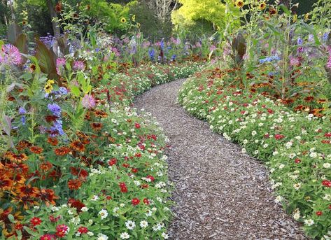 Stepping Stone Walkways, English Garden Design, Walkway Design, Garden Ideas Cheap, Video Garden, Stone Walkway, Longwood Gardens, Low Maintenance Garden, Garden Pathway