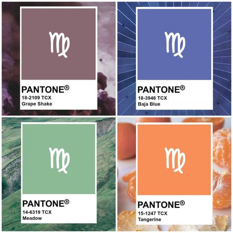 4 Pantone color swatches. Grape Shake purple, Baja Blue, meadow green, tangerine orange. Virgo Color Palette, Venus Color Palette, Virgo Jupiter, Virgo Decor, Virgo Colors, Jupiter Color, Virgo Venus Style, Virgo Aesthetic, Venus In Virgo