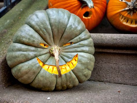 Green Pumpkin - Different! Green Pumpkin Ideas, Green Pumpkin Carving, Green Pumpkins, Halloween Green, Pumkin Carving, Blue Harvest, Creative Pumpkin Carving, Pumpkin Carving Designs, Jack O Lantern Faces