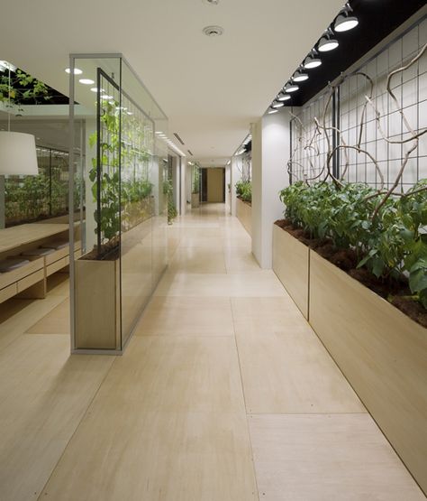 KONO DESIGNS - Urban-Farm Plant Office Design, Green Facade, Vertical Farming, Urban Agriculture, Green Office, Urban Farm, Best Office, Office Plants, Garden Office