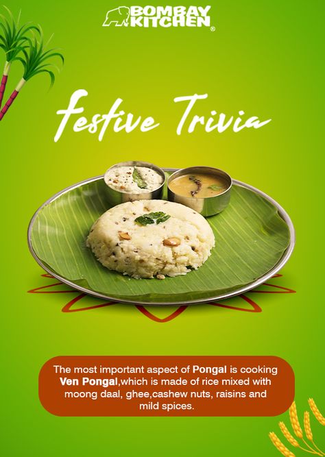 #FestiveTrivia: #Pongal in Tamil means boiled which is why most traditional dishes made during Pongal are boiled. #BombayKitchen Pongal In Tamil, Product Ads, Rice Mix, Traditional Dishes, Food Graphic Design, Food Places, Cashew Nut, Festival Posters, Post Ideas