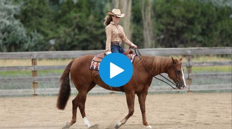 Riding Ideas, Horse Training Exercises, Ranch Riding, Ranch Horse, Riding Tips, Horse Washing, Horse Exercises, Dilly Dally, Horse Info