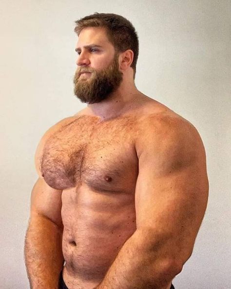 Beer Belly Men, Stocky Men, Buff Guys, Beard Game, Chubby Men, Scruffy Men, Beefy Men, Fitness Progress, Bear Men