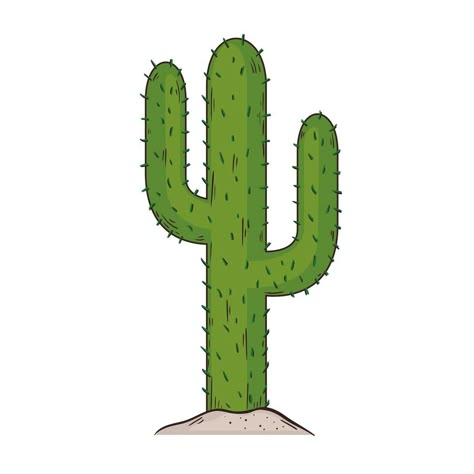 Cactus Graphic, Cactus Png, Cactus Vector, Cactus Clipart, Cactus Drawing, Flowers Png, Tree Saw, Simple Pictures, Cactus Design