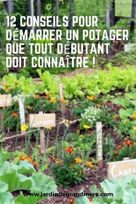 Plan Potager, Plants Poster, Healing Herbs, Outdoor Structures, Herbs, Plants