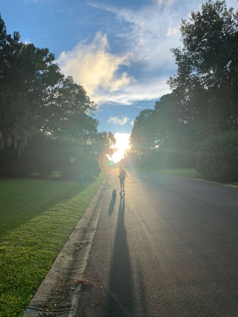 Walking, running, living Walking Puppy Aesthetic, Dog Walker Aesthetic, Monthly Manifestation, Manifesting 2024, Walk Dog, Summer Vision, 2024 Goals, Country Walk, Dog Walks