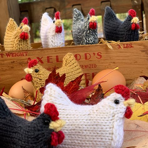 Pocket Hens – Apiary Knits Tiny Knitting, Knitwear Pattern, Knitted Dolls Free, Easy Knitting Patterns Free, Pocket Pal, Chicken Pattern, Crochet Abbreviations, Knit Projects, Knitted Animals