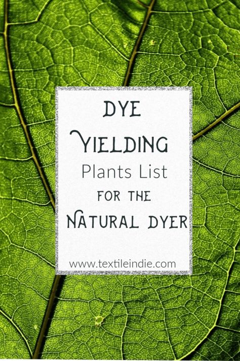 Learn what to use to naturally dye fibers, fabrics and yarns with this list of natural dye yielding plants. Flowers, leaves, barks, roots, bugs and kitchen scraps that make beautiful colors. Dye material options, tutorials and information to get started with your natural dyeing adventures. Foraging For Natural Dyes, Leaf Dyeing Fabric, Nature Dye Fabric, Natural Plant Dyes, Homestead Crafts, Natural Dyes For Yarn, Natural Dyeing Techniques, Nettle Dye Fabric, Kitchen Scraps