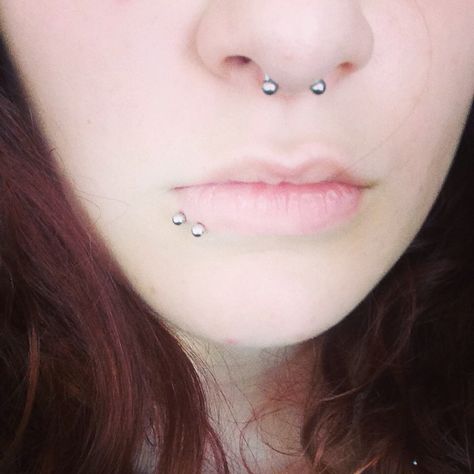 My septum and spiderbites Gettinf my nose pierced next week Spiderbite Piercings, Spider Bites, Face Piercings, Shark Bites, Lip Piercing, Body Modifications, Body Mods, Nose Piercing, Piercing Jewelry