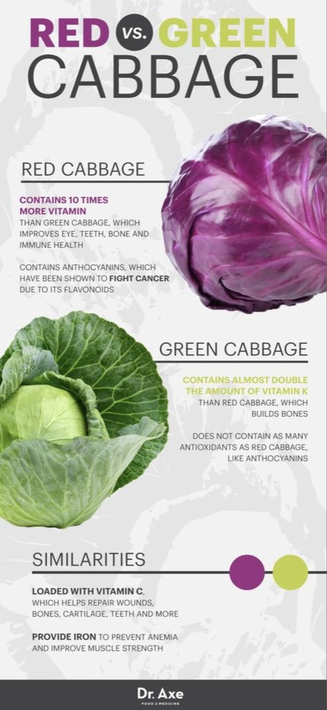 Cabbage Health Benefits, Cabbage Benefits, Cabbage Soup Diet, Food Health Benefits, Salad Pasta, Soup Diet, Delicious Vegetables, Leaky Gut, Green Cabbage