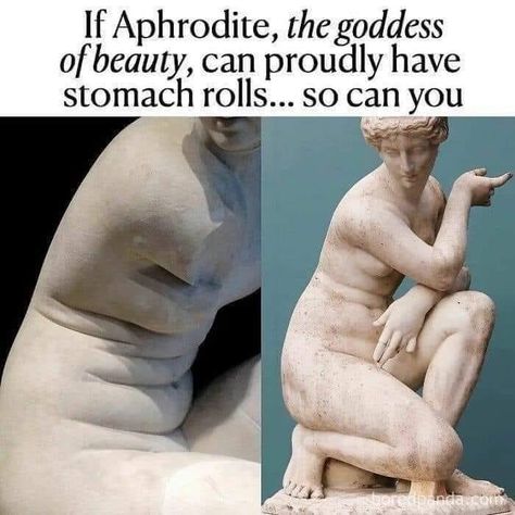 Mythology Jokes, Abigail Core, Stomach Rolls, Goddess Of Beauty, Nerd Memes, Aphrodite Goddess, Vie Motivation, Aphrodite, Pretty Quotes