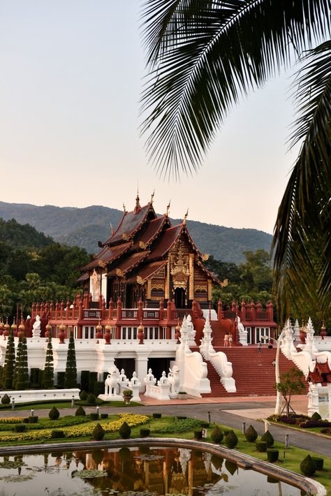 Lost in the beauty of Hor Kham Luang 🌿🍃 This majestic temple nestled in the lush green mountains of Chiang Mai is truly a sight to behold! 😍 #horkhamluang #chiangmai #temples #travel #thailand Chiang Mai Aesthetic, Chiang Mai Thailand Aesthetic, Royal Pavilion, Thailand Trip, Green Mountains, Travel Thailand, Chiang Mai Thailand, Thai Art, Green Mountain