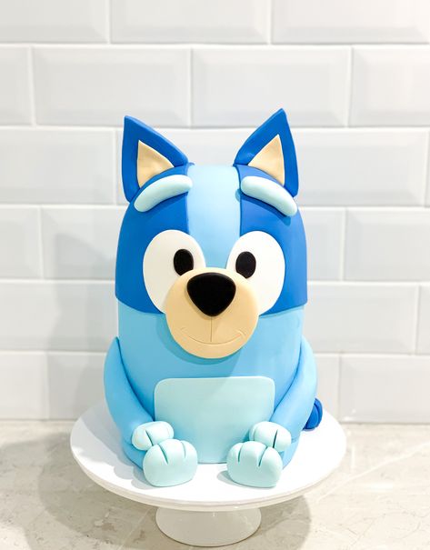 Bluey Birthday Cake Rectangle, Bluey Fondant Cake, Bluey Shaped Cake, Bluey Cake Tutorial, Bingo Cake Ideas Bluey, Bluey Birthday Smash Cake, Bingo And Bluey Birthday Cake, Bluey Cake Ideas For Boys, Bluey Birthday Cake For Boys