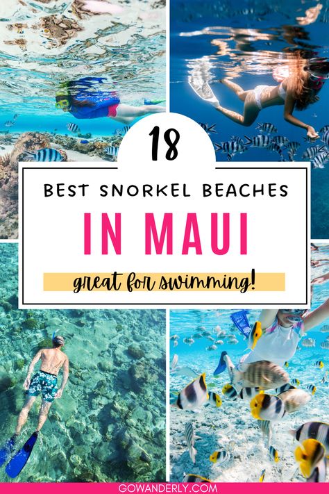 Discover the top snorkeling beaches in Maui. Get tips and recommendations for an unforgettable snorkeling experience. Maui Bucket List, Maui Hawaii Beaches, Maui Beaches, Best Beaches In Maui, Hawaii Trip Planning, Maui Snorkeling, Maui Itinerary, Maui Activities, Tropical Travel Destinations