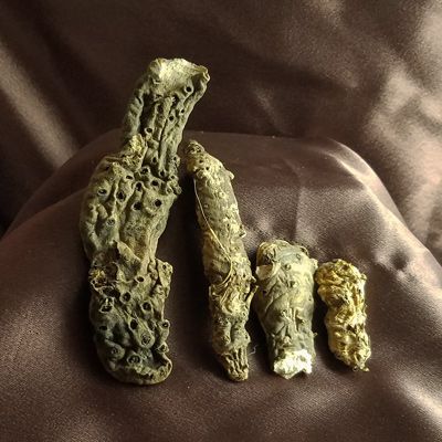 Queen Elizabeth Root (Orris Root) Iris Flowers Garden, Orris Root, Mojo Bags, Love Spell Caster, Love Oil, Spell Caster, Witch Magic, Red Flannel, Magic Ring