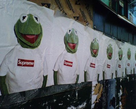 Kermit the Frog x Supreme? | HYPEBEAST Supreme New York, New York Poster, Poster Ads, Ad Campaigns, Kermit The Frog, Brand Collaboration, Photo Wall Collage, New York Street, Kate Moss