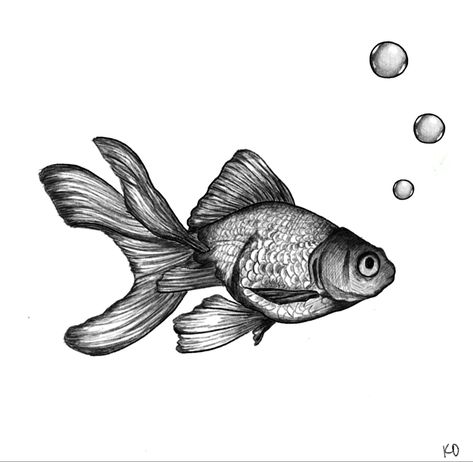 Goldfish Tattoo, Ocean Tattoos, Line Tattoos, Fish Art, Betta Fish, Photo Reference, Goldfish, Linocut, Tattoos And Piercings