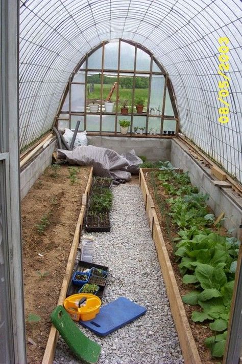 Greenhouse made from cattle panels at http://inmykitchengarden.blogspot.com/2006/03/looking-back-building-greenhouse.html. Homemade Greenhouse, Plant Watering System, Greenhouse Supplies, Cattle Panels, Greenhouse Interiors, Home Greenhouse, Plants Growing, Greenhouse Growing, Small Greenhouse