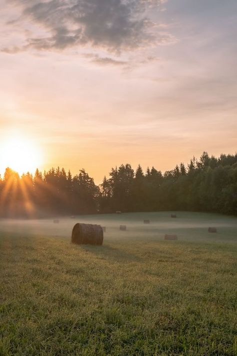 Country Field Aesthetic, Country Life Wallpaper, Simple Country Living Aesthetic, Old Farm Aesthetic, Farm Astethic, Southern Aesthetic Country, Old Country Aesthetic, Country Living Aesthetic, Midwestern Aesthetic